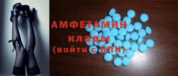 гашик Осинники