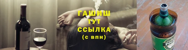 гашик Осинники