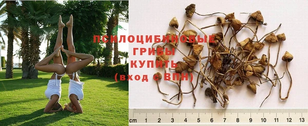 мяу мяу кристалл Ухта
