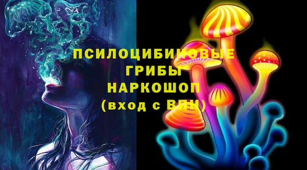 герыч Пересвет