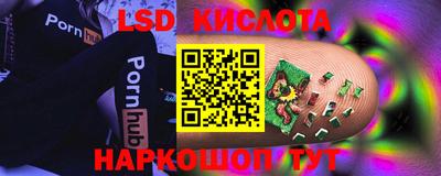 твердый Камышлов