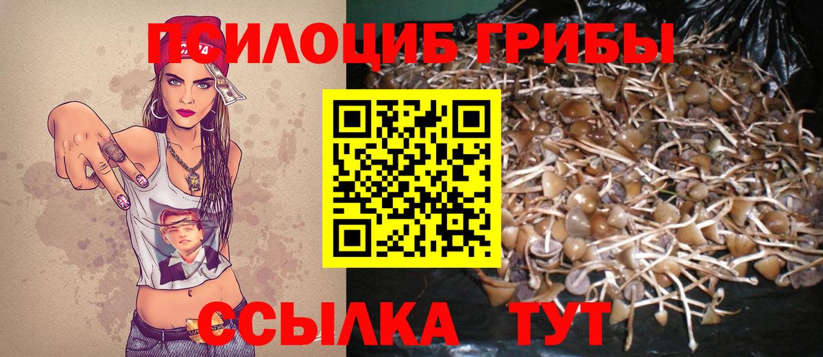Арсеньев  Галлюциногенные грибы мухоморы  Галлюциногенные грибы Cubensis  Вход с VPN 