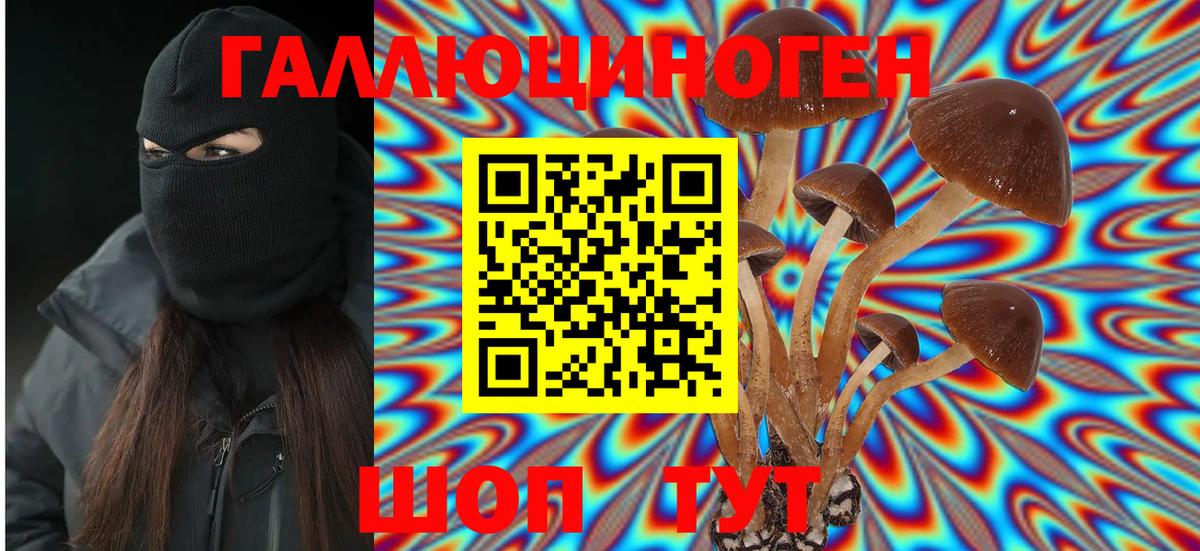 Псилоцибиновые грибы мицелий  Арсеньев  Псилоцибиновые грибы мухоморы 