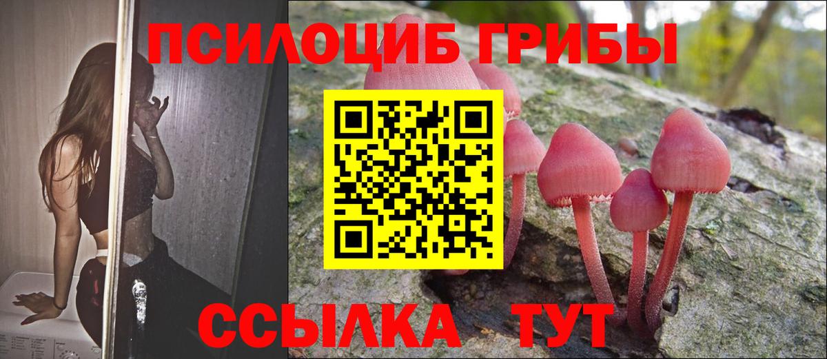 Галлюциногенные грибы Magic Shrooms Арсеньев